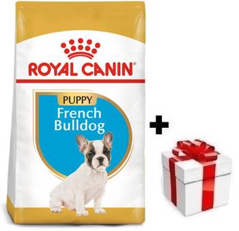 ROYAL CANIN French Bulldog Puppy 10kg + sorpresa per il cane GRATIS