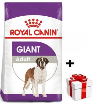 ROYAL CANIN Giant Adult 15kg + sorpresa per il cane GRATIS