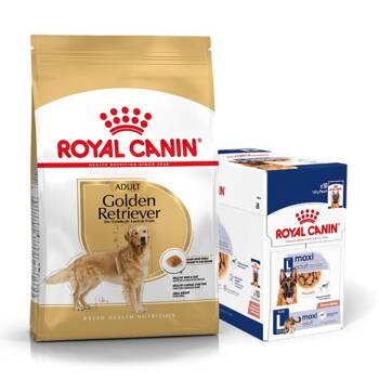 ROYAL CANIN Golden Retriever Adulto 12kg + cibo umido GRATIS!