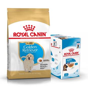 ROYAL CANIN Golden Retriever Puppy 12kg + cibo umido GRATIS!