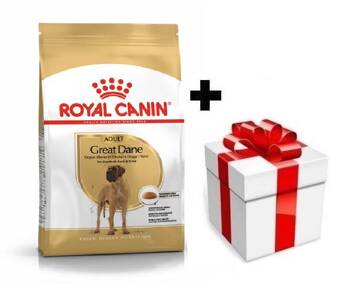 ROYAL CANIN Great Dane Adult 12kg + sorpresa per il cane GRATIS