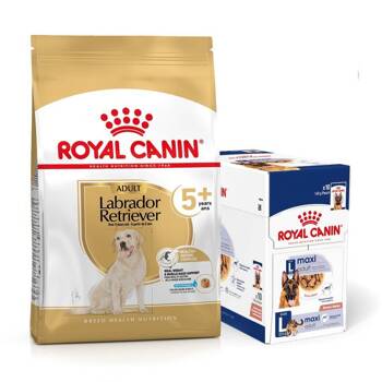 ROYAL CANIN Labrador Retriever Adulto 5+ 12kg + cibo umido GRATIS!