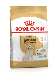 ROYAL CANIN Labrador Retriever Adulto 5+ 3kg