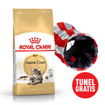 ROYAL CANIN Maine Coon Adulto 10kg + Tunnel per gatti GRATIS!