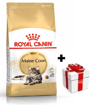 ROYAL CANIN Maine Coon Adulto 10kg + Überraschung für die Katze