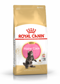 ROYAL CANIN Maine Coon Kitten 10kg