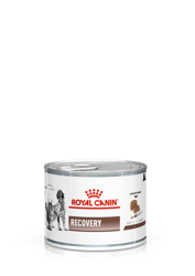 ROYAL CANIN Recovery 195g x12