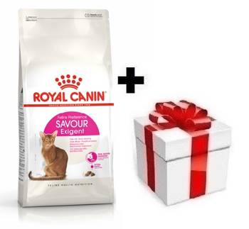 ROYAL CANIN Savour Exigent 10kg + sorpresa per il gatto GRATIS