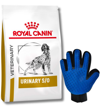 ROYAL CANIN Urinary S/O 13kg + Guanto di pettinatura  GRATIS