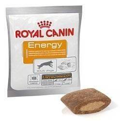 ROYAL CANIN supplemento nutrizionale energia 50g